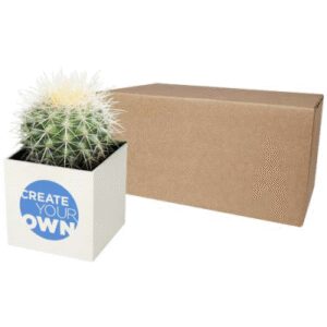 HEY POTS ALUMINIUM METAL PLANTED POT - CACTUS