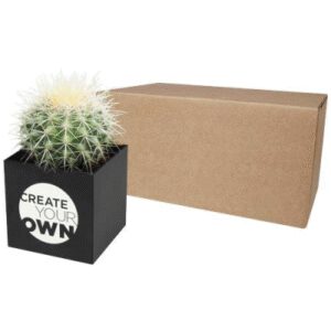 HEY POTS ALUMINIUM METAL PLANTED POT - CACTUS