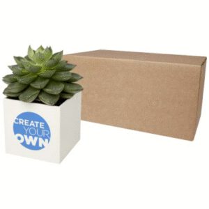 HEY POTS ALUMINIUM METAL PLANTED POT - SUCCULENT