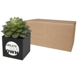 HEY POTS ALUMINIUM METAL PLANTED POT - SUCCULENT
