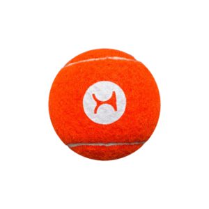 DOG TENNIS BALL