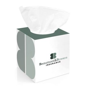 Box of 100 2-Ply White Tissues in Printed Box