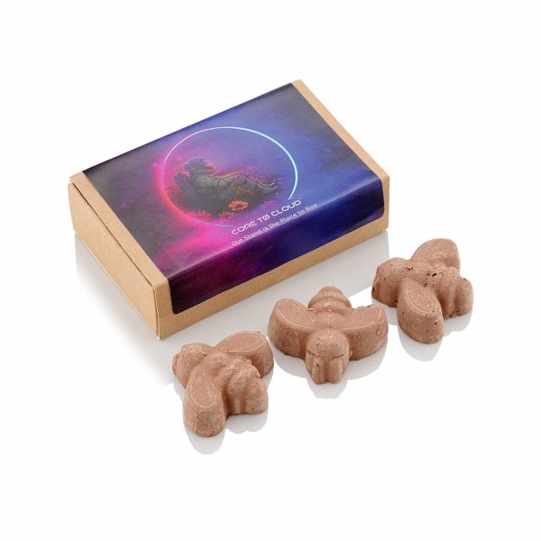 Bee-Shaped Seed Bombs - Image 4