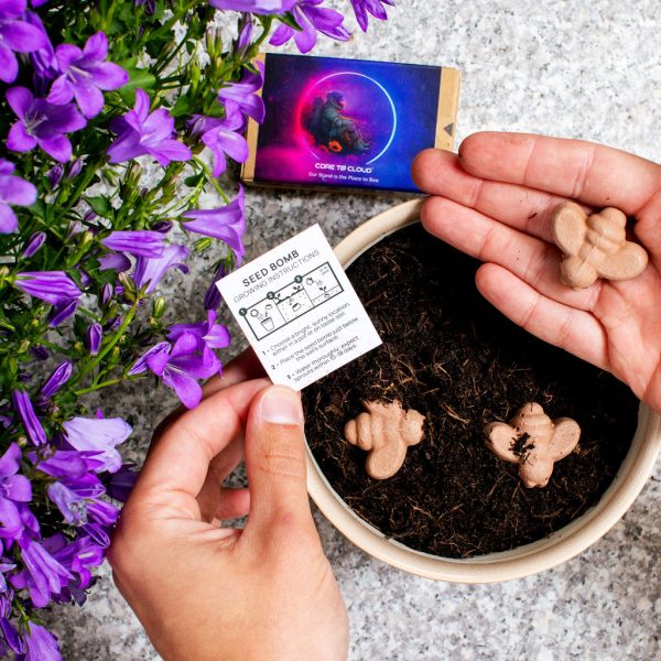 Bee-Shaped Seed Bombs - Image 2