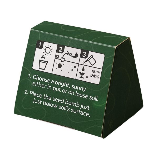 Mini Seed Bomb Box - Image 2