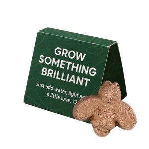 Mini Seed Bomb Box