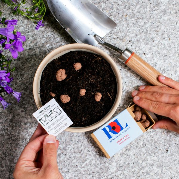 Seed Balls Matchbox - Image 2