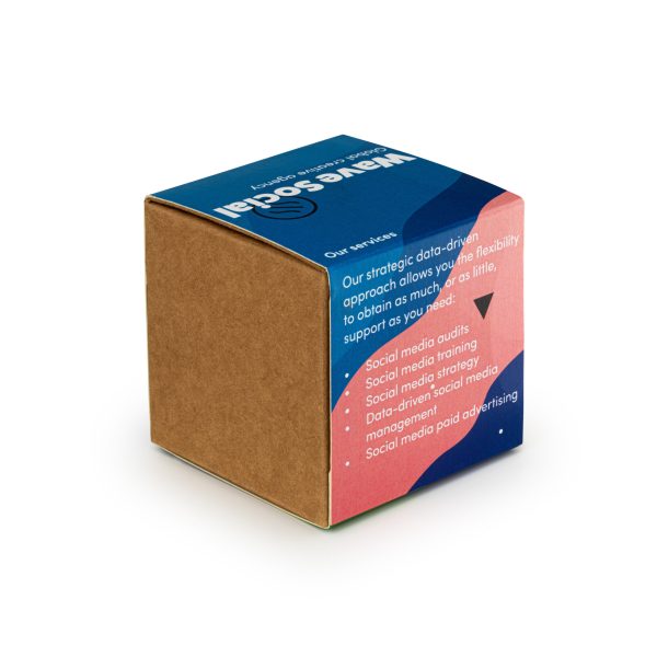 Wildflower Seed Bomb Kit - Image 3