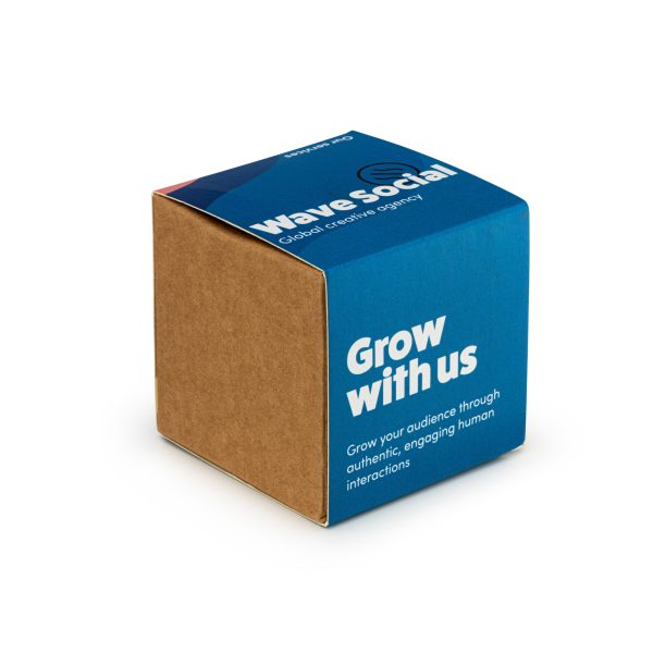 Wildflower Seed Bomb Kit - Image 2