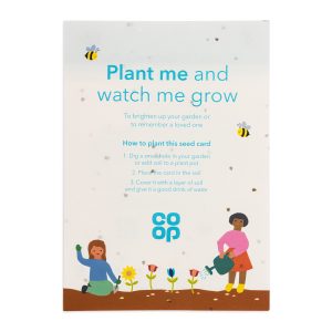 Printed A5 Seed Paper