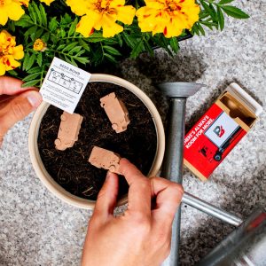 Van-Shaped Seed Bombs