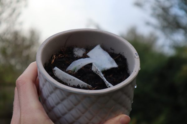 Printed A7 Seed Paper - Image 3