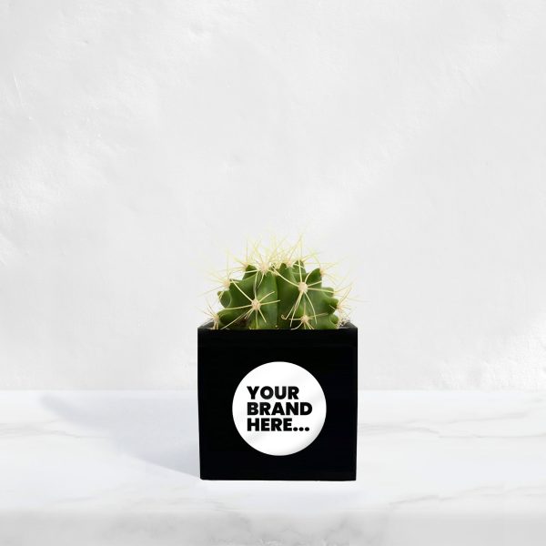 Small Black Aluminium Planted Pot - Printed - Image 3
