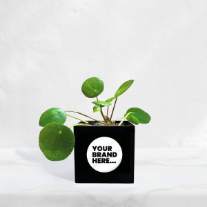 Small Black Aluminium Planted Pot - Printed