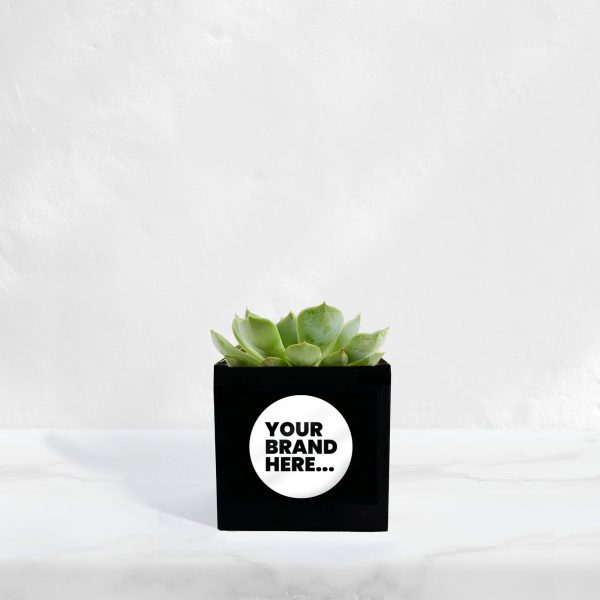 Small Black Aluminium Planted Pot - Printed - Image 2
