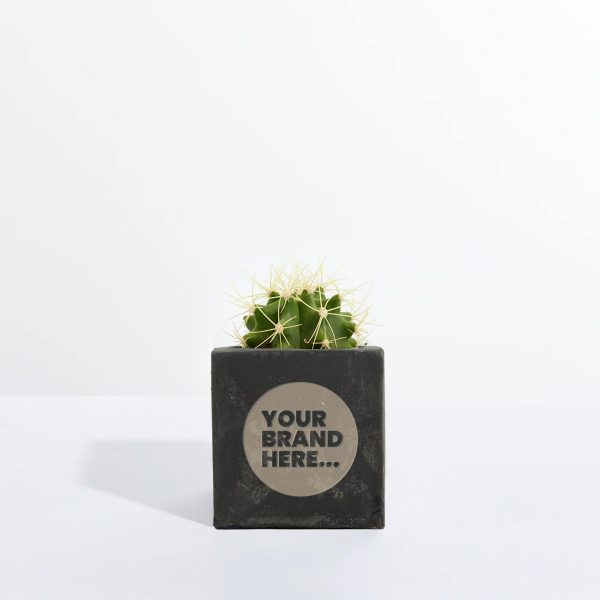 Small Black Concrete Planted Pot - Engraved - Image 4