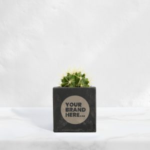 Small Black Concrete Planted Pot - Engraved