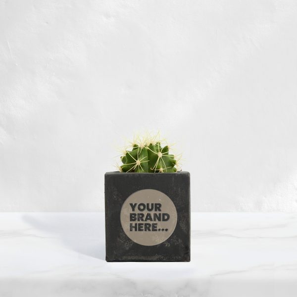 Small Black Concrete Planted Pot - Engraved