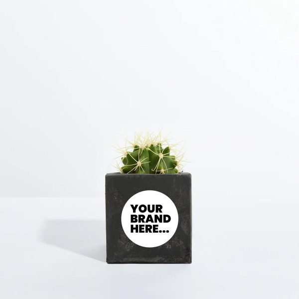 Small Black Concrete Planted Pot - Printed - Image 2