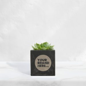 Small Black Concrete Planted Pot - Printed