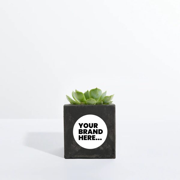 Small Black Concrete Planted Pot - Printed - Image 4