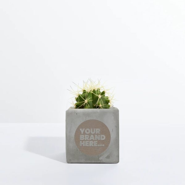 Small Grey Concrete Planted Pot - Engraved - Image 2