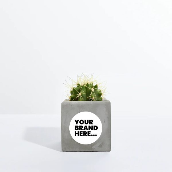 Small Grey Concrete Planted Pot - Printed - Image 2