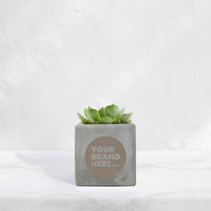 Small Grey Concrete Planted Pot - Engraved