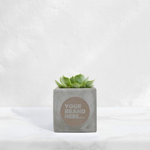 Small Grey Concrete Planted Pot - Engraved