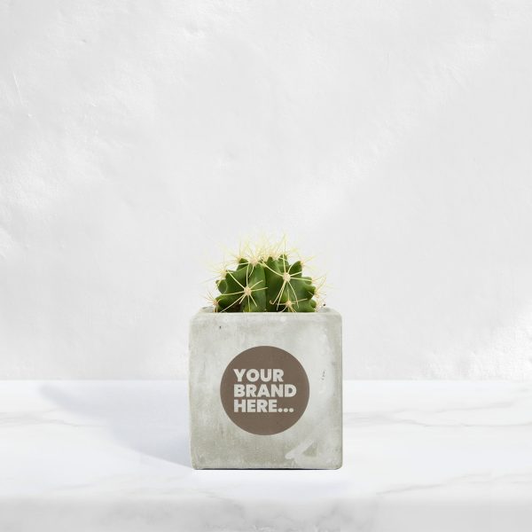 Small Marble Concrete Planted Pot - Engraved - Image 3