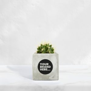 Small Marble Concrete Planted Pot - Printed