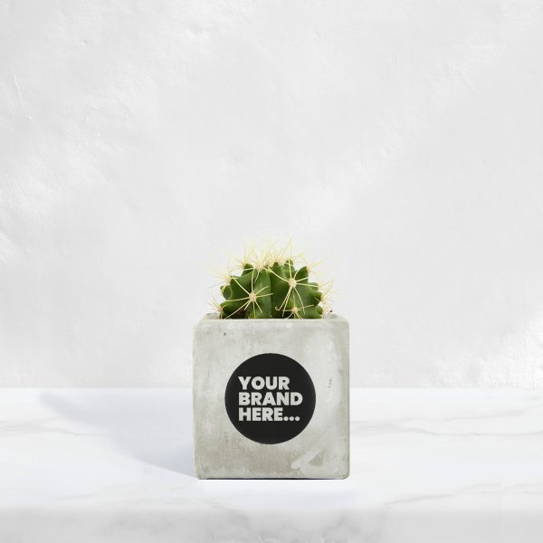 Small Marble Concrete Planted Pot - Printed