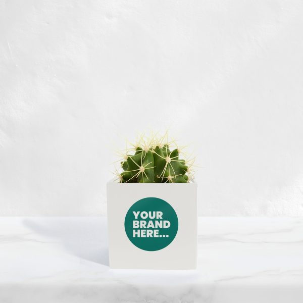Small White Aluminium Planted Pot - Printed - Image 2