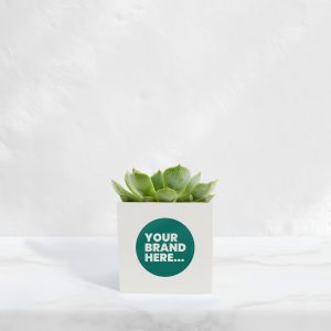 Small White Aluminium Planted Pot - Printed