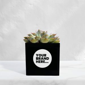 Medium Black Aluminium Planted Pot - Printed