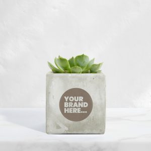 Medium Marble Concrete Planted Pot - Engraved