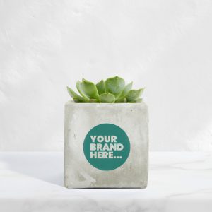 Medium Marble Concrete Planted Pot - Printed