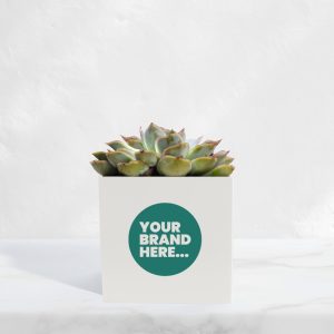 Medium White Aluminium Planted Pot - Printed
