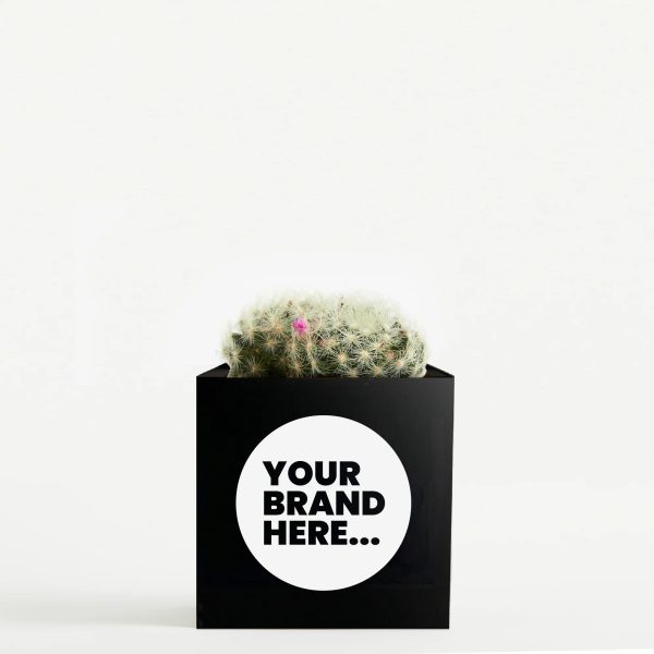 Medium Black Aluminium Planted Pot - Printed - Image 2