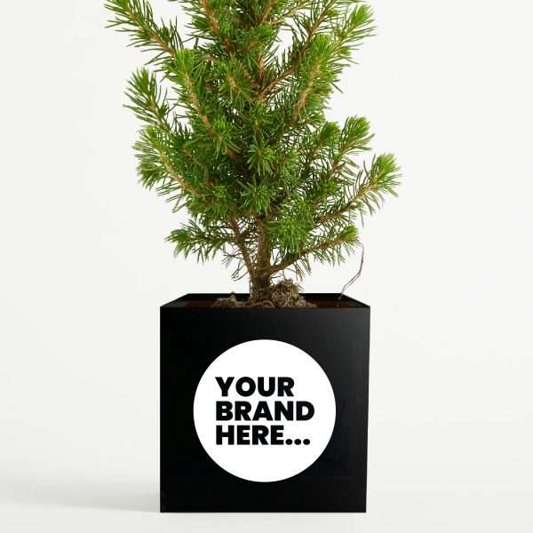 Medium Black Aluminium Planted Pot - Printed - Image 3