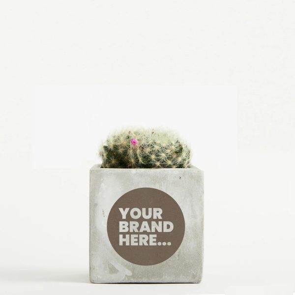 Medium Marble Concrete Planted Pot - Engraved - Image 2
