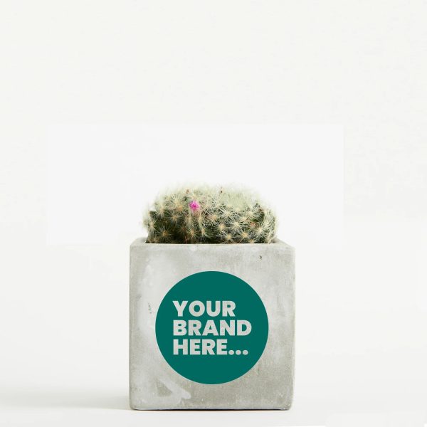 Medium Marble Concrete Planted Pot - Printed - Image 2