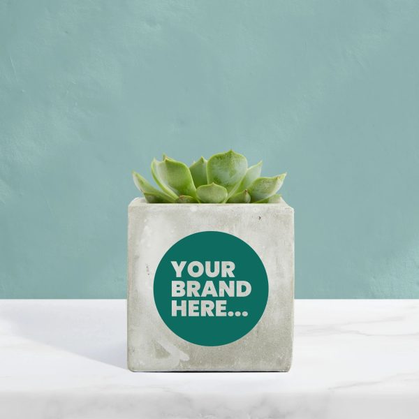 Medium Marble Concrete Planted Pot - Printed - Image 3