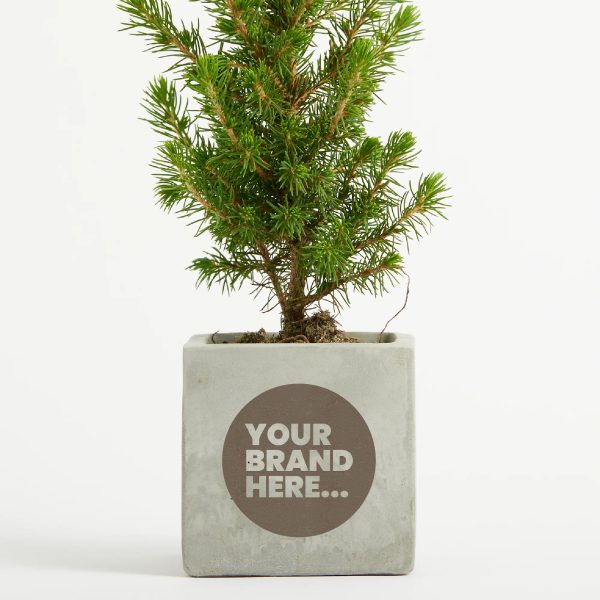 Medium Marble Concrete Planted Pot - Engraved - Image 4