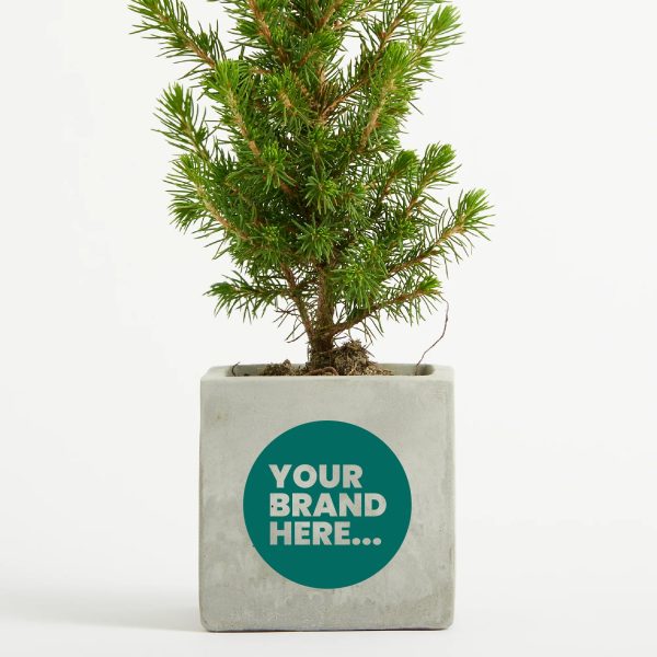 Medium Marble Concrete Planted Pot - Printed - Image 4