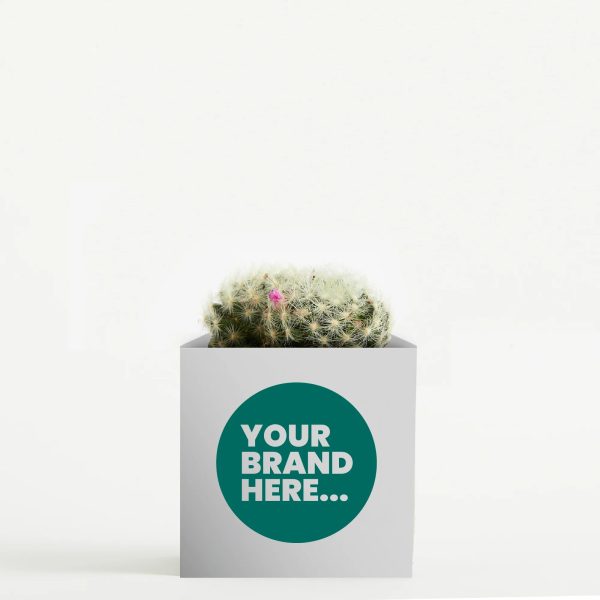 Medium White Aluminium Planted Pot - Printed - Image 3