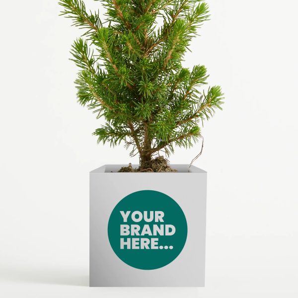 Medium White Aluminium Planted Pot - Printed - Image 2