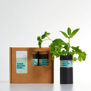 Desktop Garden Box of Three - Matt Black