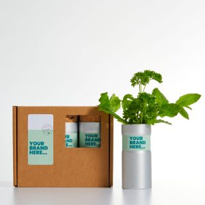 Desktop Garden Box of Three - Silver