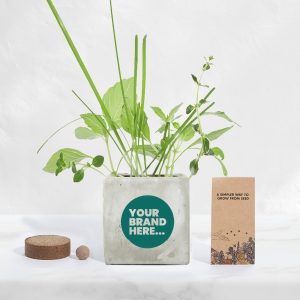 Marble Concrete Grow Kit - Printed